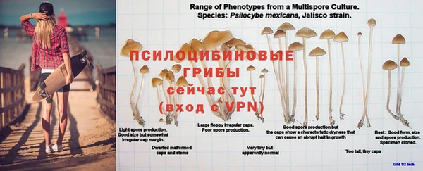 дживик Балабаново