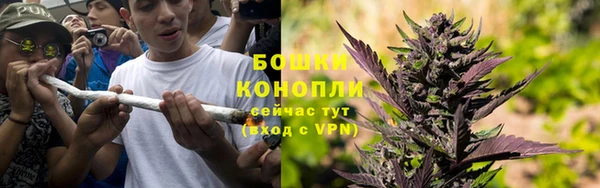 трава Балахна
